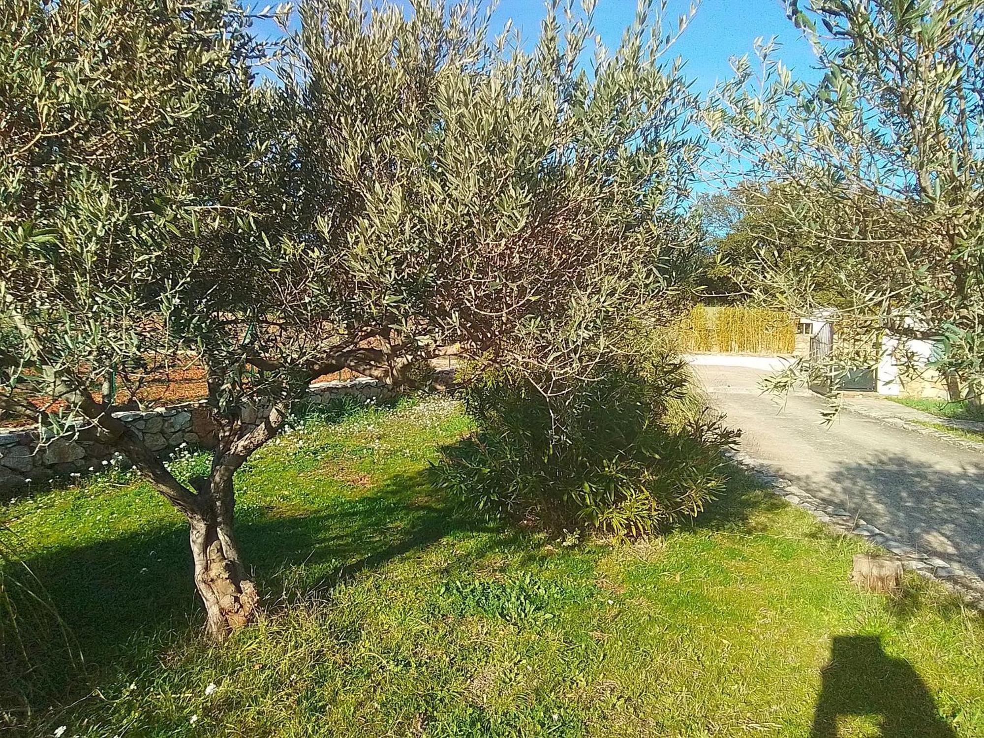 Cotignac Sejour Vacances エクステリア 写真